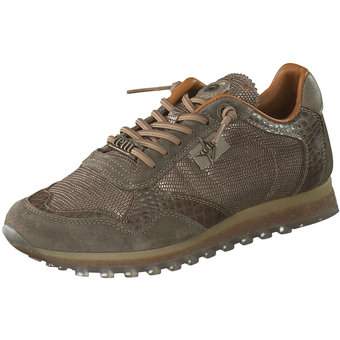 Cetti Ante Tejus Sneaker in braun