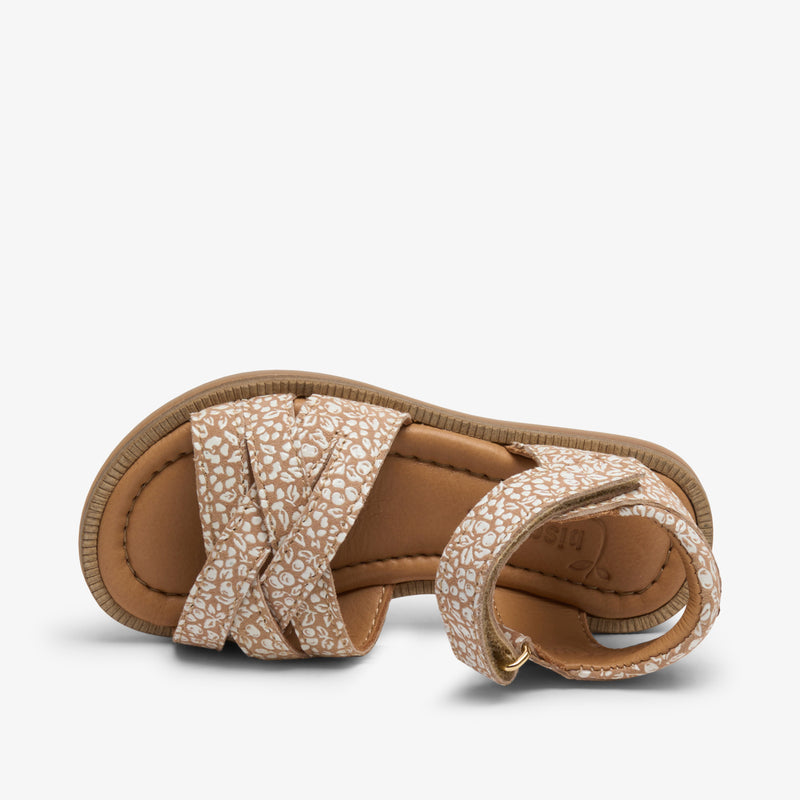 becca o brown floral - Braun