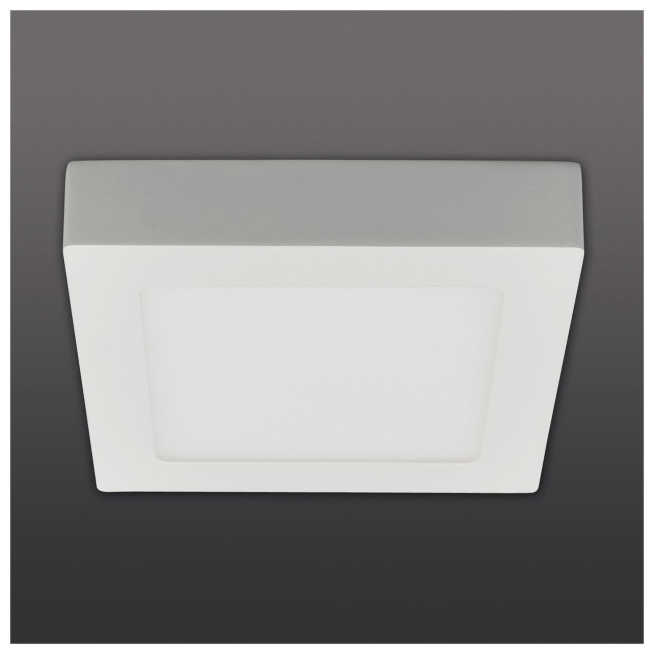 Näve Leuchten LED Deckenleuchte 