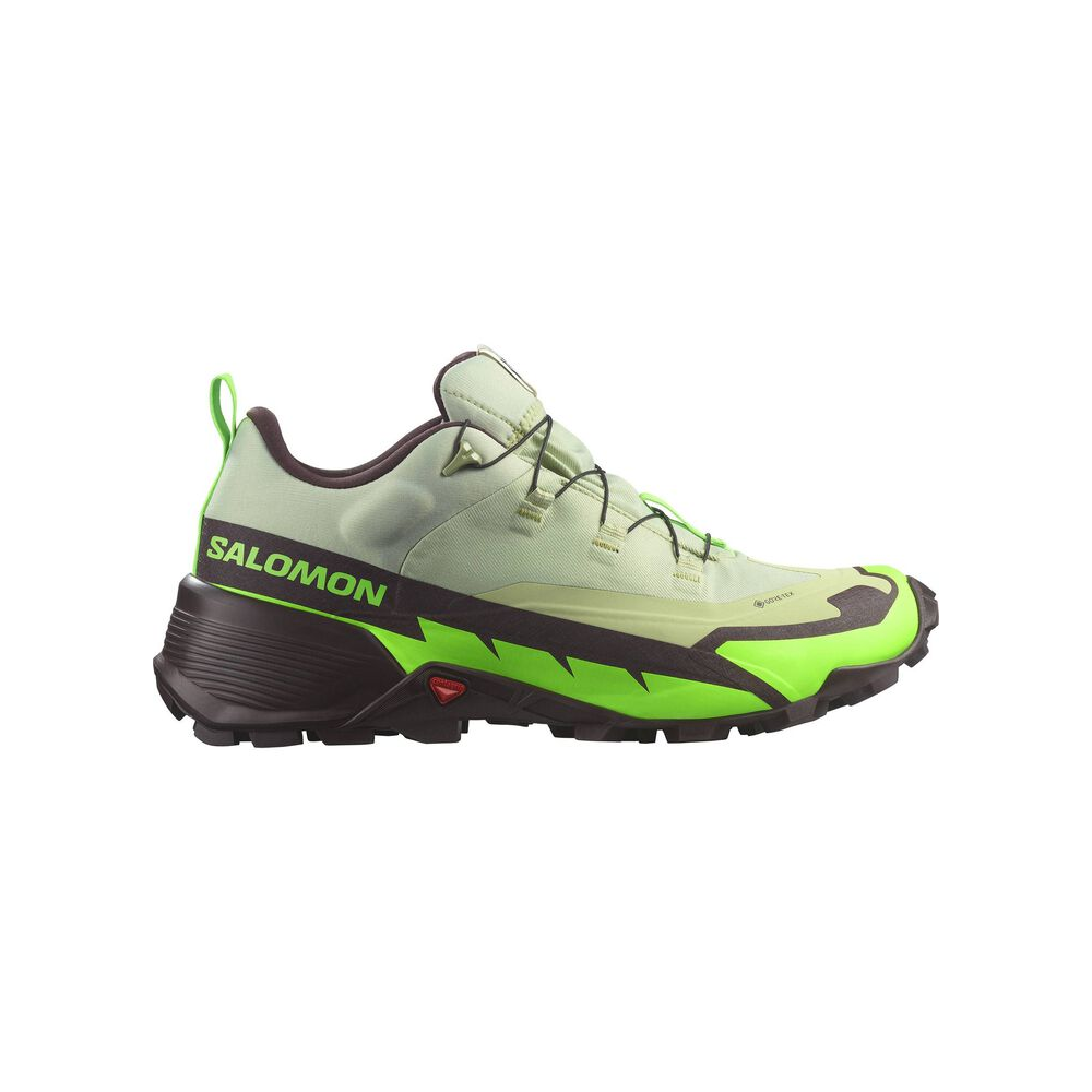 Salomon CROSS HIKE 2 GORE TEX L47277600 / bunt