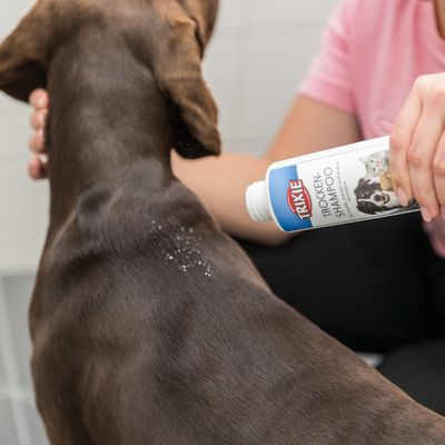 Trixie Trocken-Shampoo für Hunde