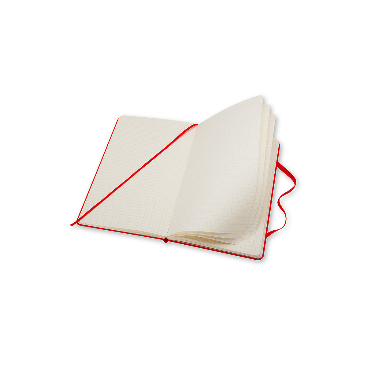 Notizbücher L/A5- Kariert Notizbücher