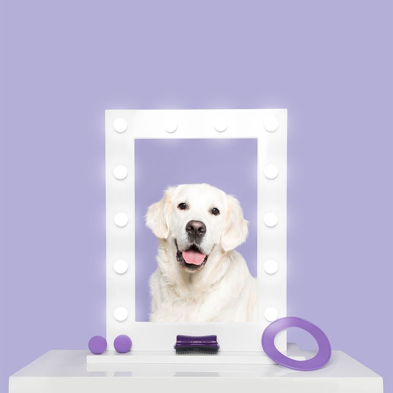 Pet Teezer De-shedding Brush zu TOP-Preisen % | bitiba