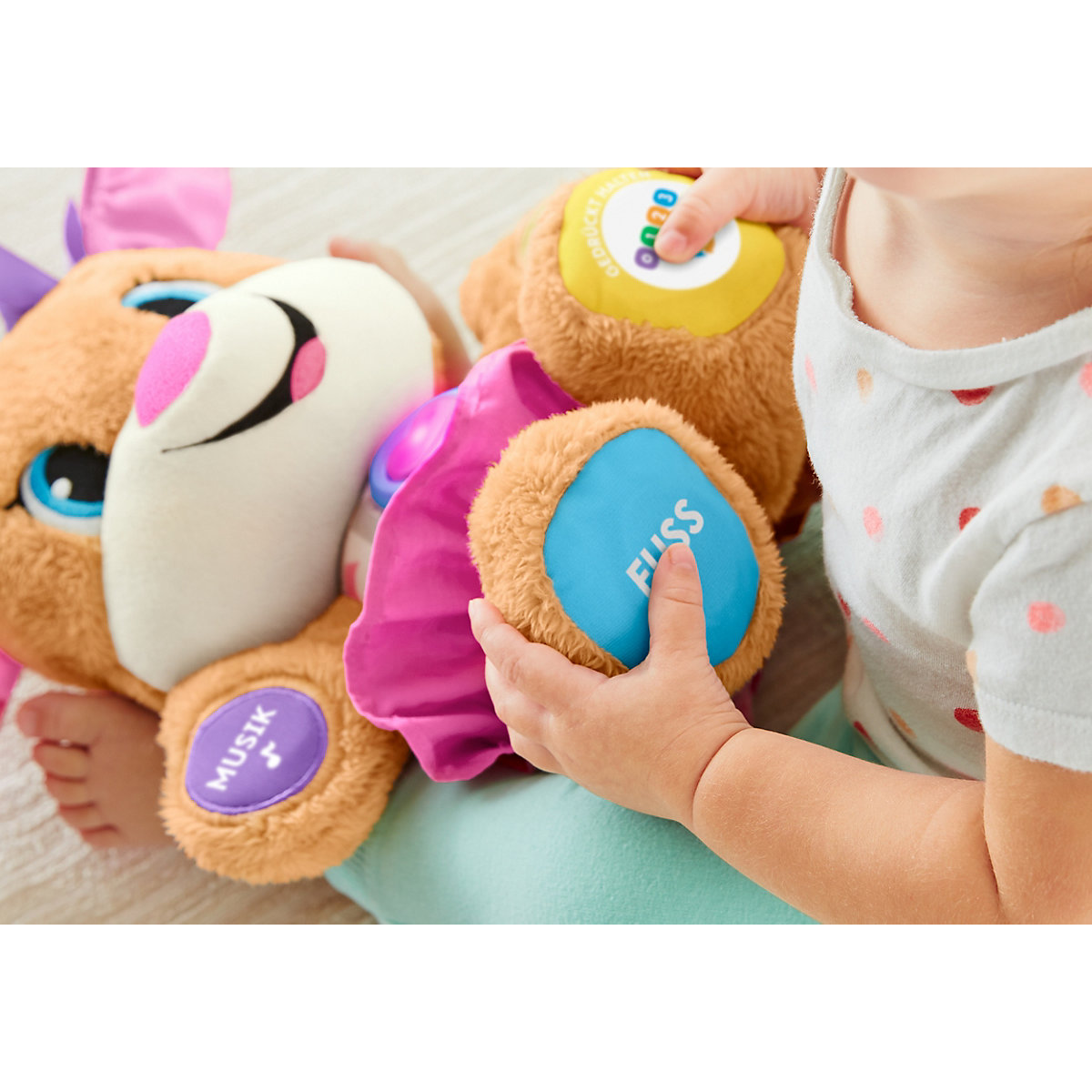 Fisher-Price Lernspaß Hundefreundin, Baby-Spielzeug, Kuscheltier, Lernspielzeug