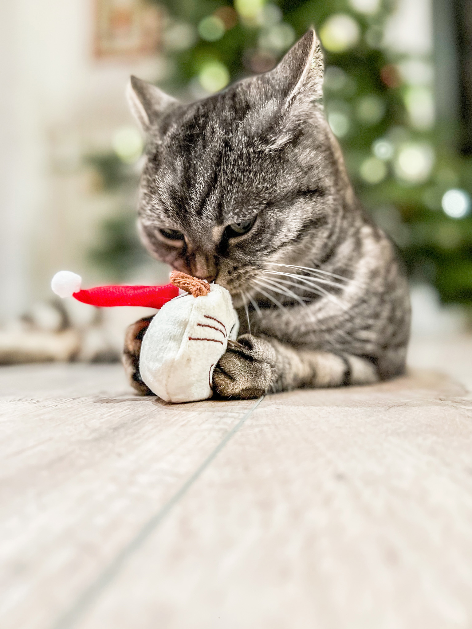 Aumüller Baldrian & Catnipspielzeug Aumüller Spielkissen Weihnachtswilly