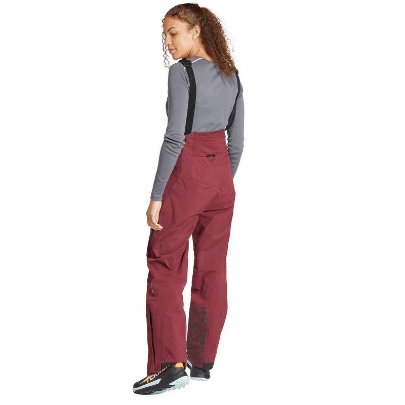adidas 3L GTX Bib Skihose Damen