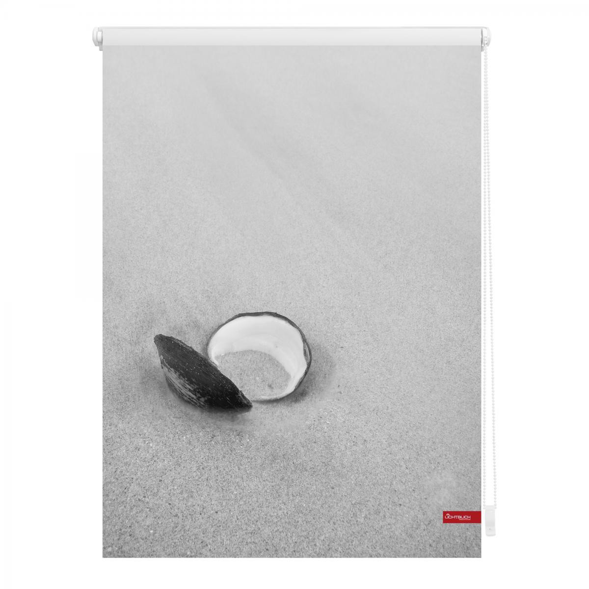 Lichtblick Rollo Klemmfix, ohne Bohren, blickdicht, Muschel - Schwarz Weiß, 60 x 150 cm (B x L)
