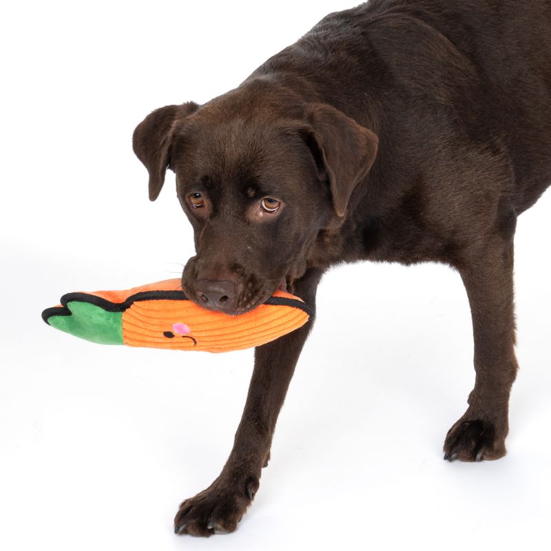 TIAKI Hundespielzeug Happy Carrot Tough zu TOP-Preisen | bitiba %