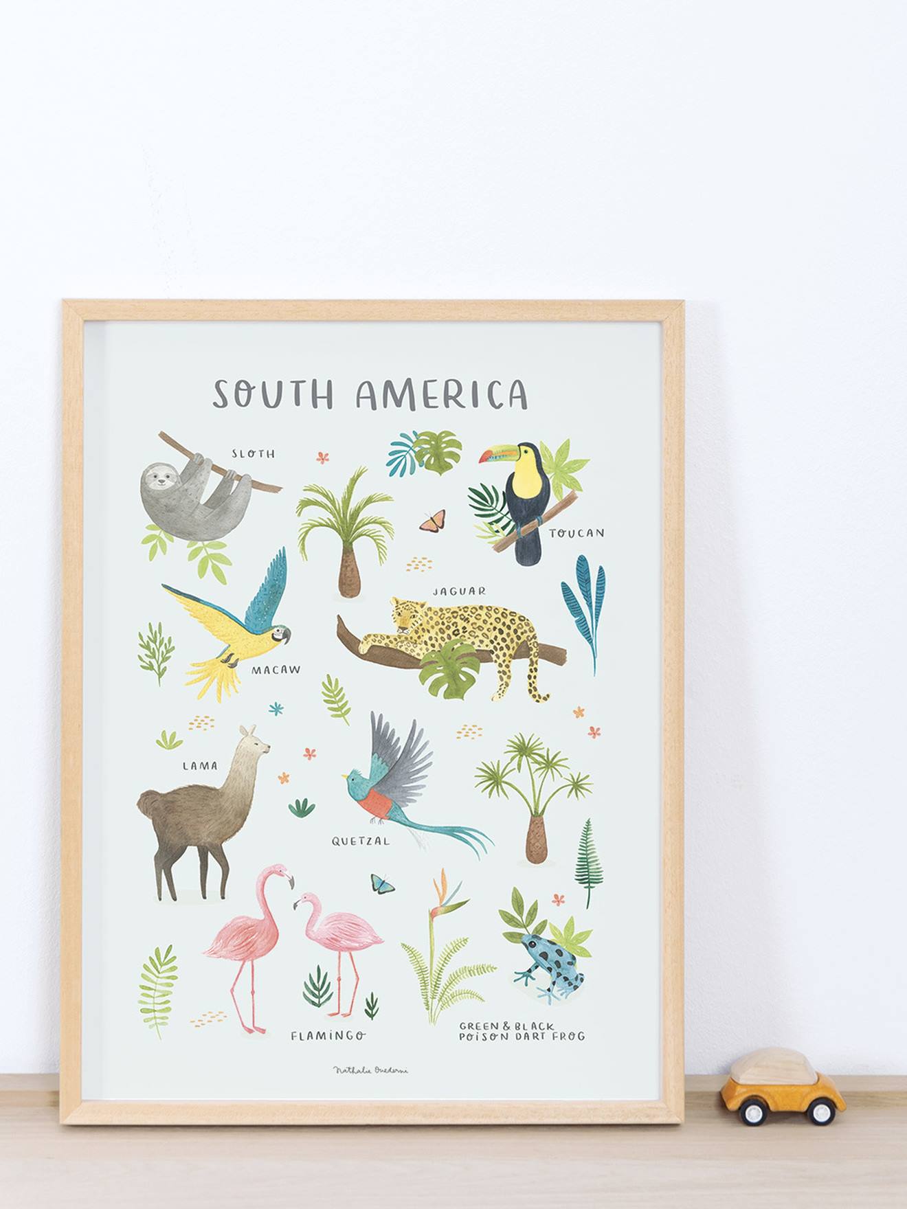 Affiche Animaux d'Amérique du sud Living Earth LILIPINSO multicolore