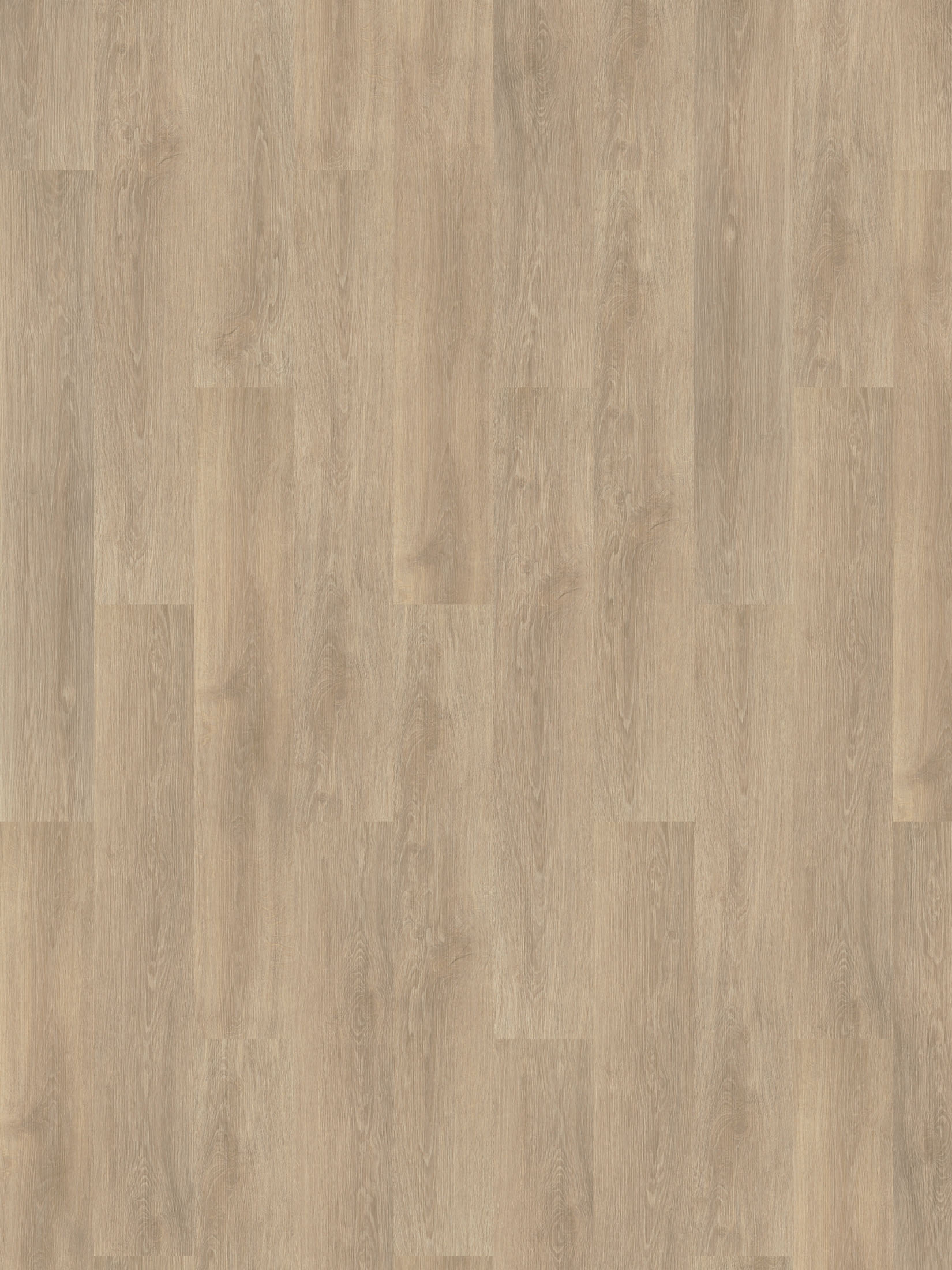 Levanger XL Vinylboden, Saragossa Oak Coll23414