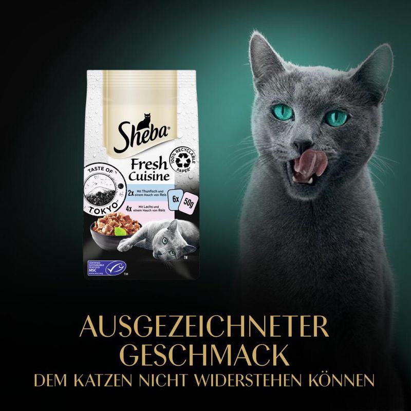 Sheba Fresh Cuisine Taste of Tokyo Thunfisch & Lachs | bitiba %