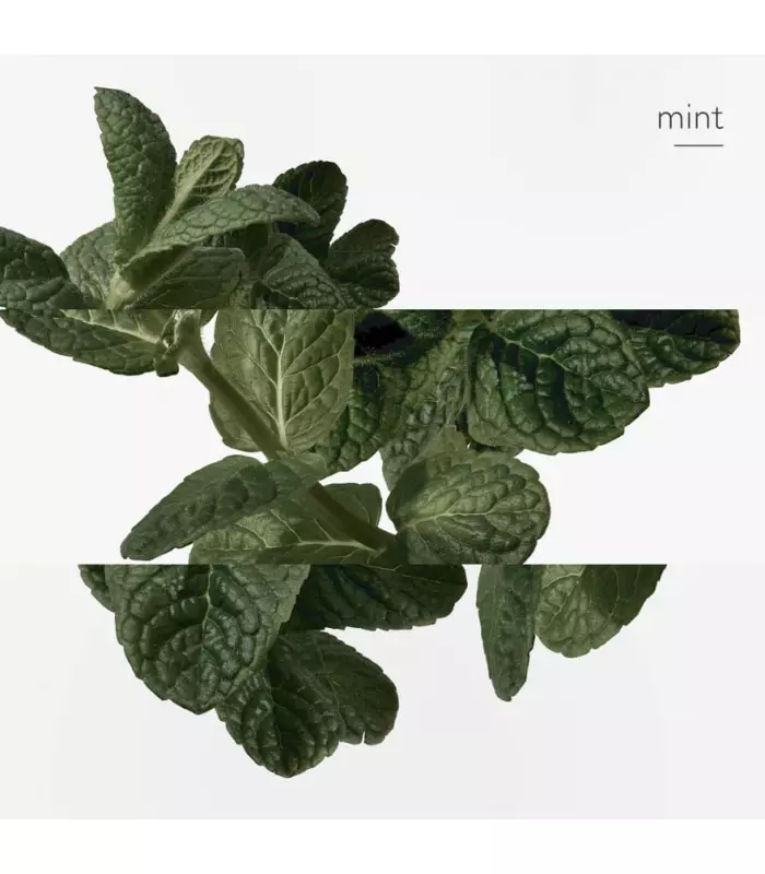 EAU D'ORANGE VERTE Eau de Cologne Vaporisateur