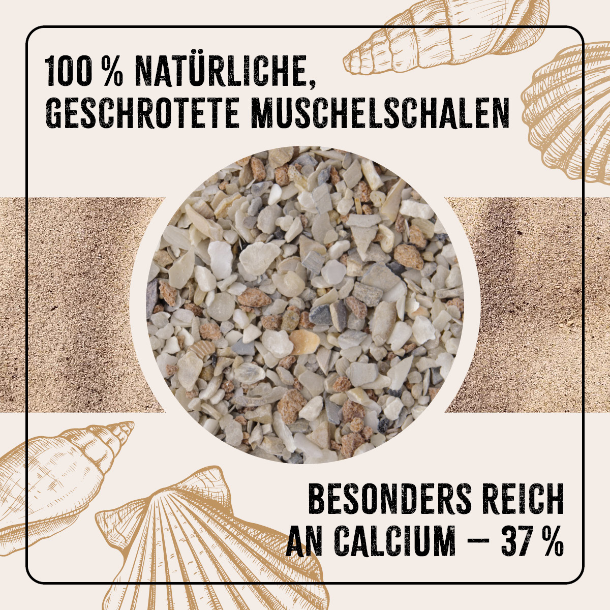 Aniforte Futter & Heu Aniforte FarmLife Muschelgrit für Hühner 5kg