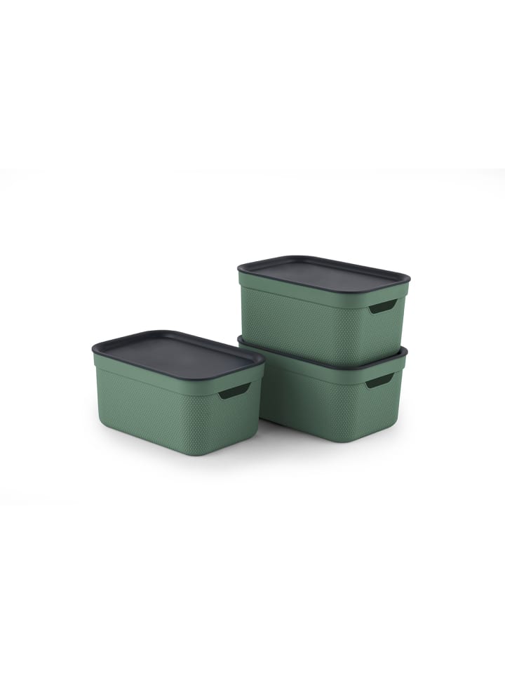 Rotho Jive Dekobox 3er-Set Aufbewahrungskorb 5l in Sea Spray green ged. günstig kaufen onesize