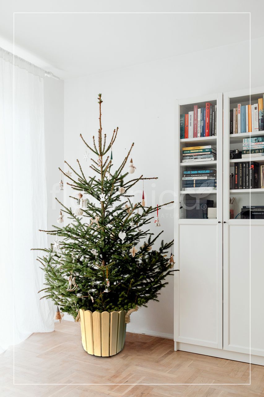 Pemicont Floranica Runder Blumentopf aus Holz 33x20cm Natural Imprägniertes Kiefernholz Schutzhülle für Kräuter Blumen Haus- und Gartendekoration Truhe Für den Innen- und Außenbereich