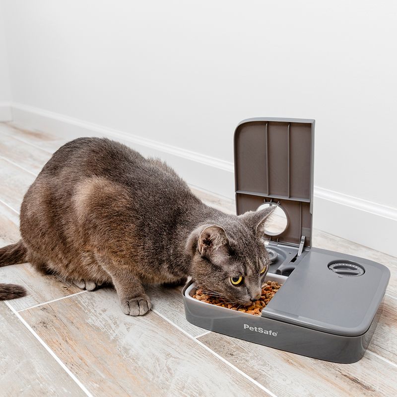 PetSafe Futterautomat für 2 Mahlzeiten zu TOP-Preisen | bitiba %