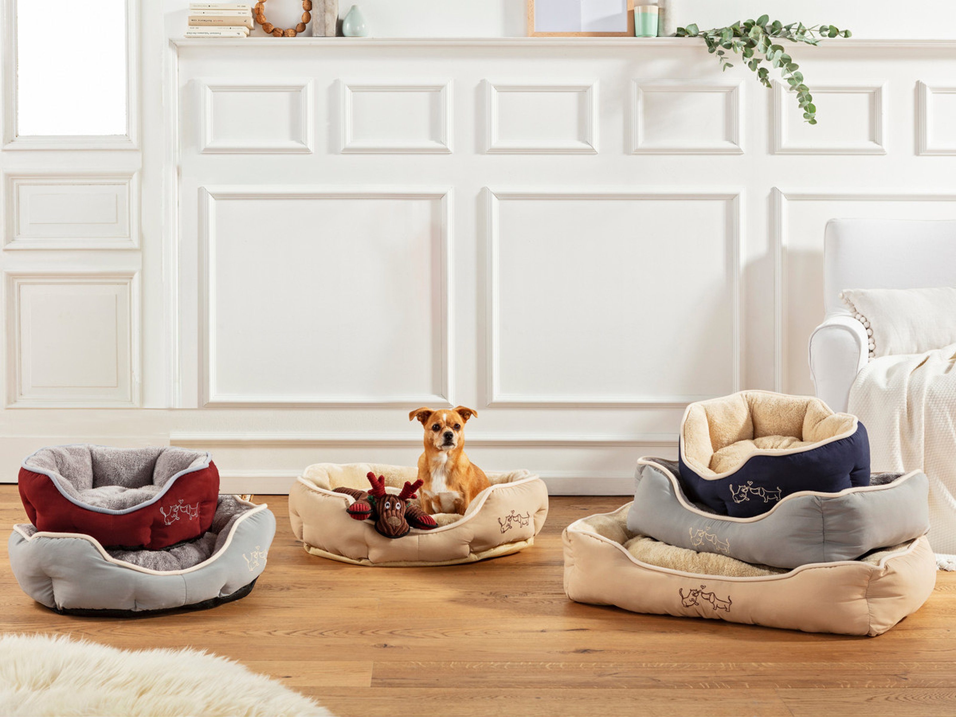 Dehner Tierbett Sammy, rechteckig, grau, versch. Größen, hochwertiges Hundebett/Katzenbett, mit herausnehmbarem Liegekissen