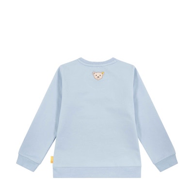 Sweatshirt, hellblau für Jungs