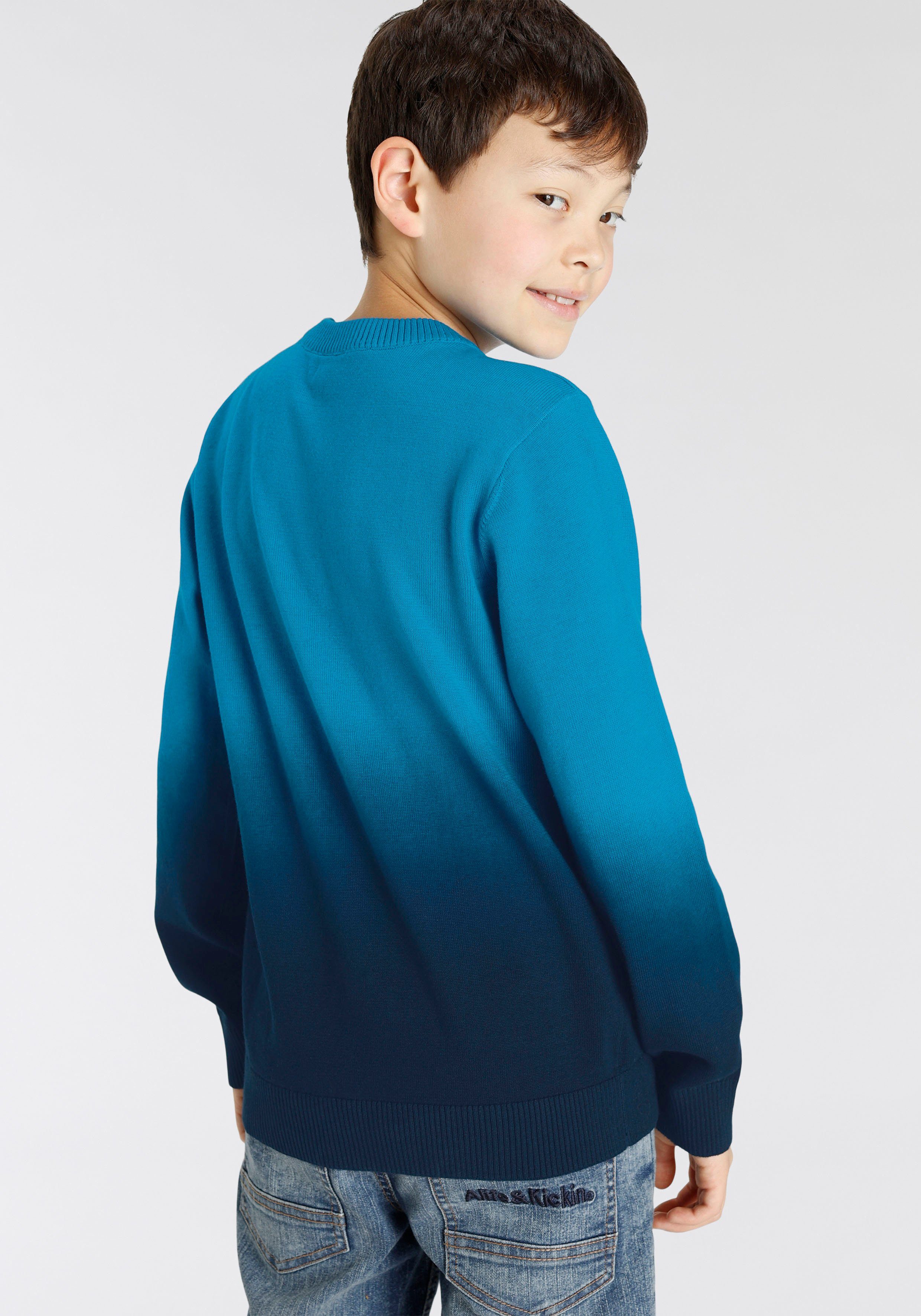 Alife & Kickin Strickpullover für Jungen, in tollem Farbverlauf