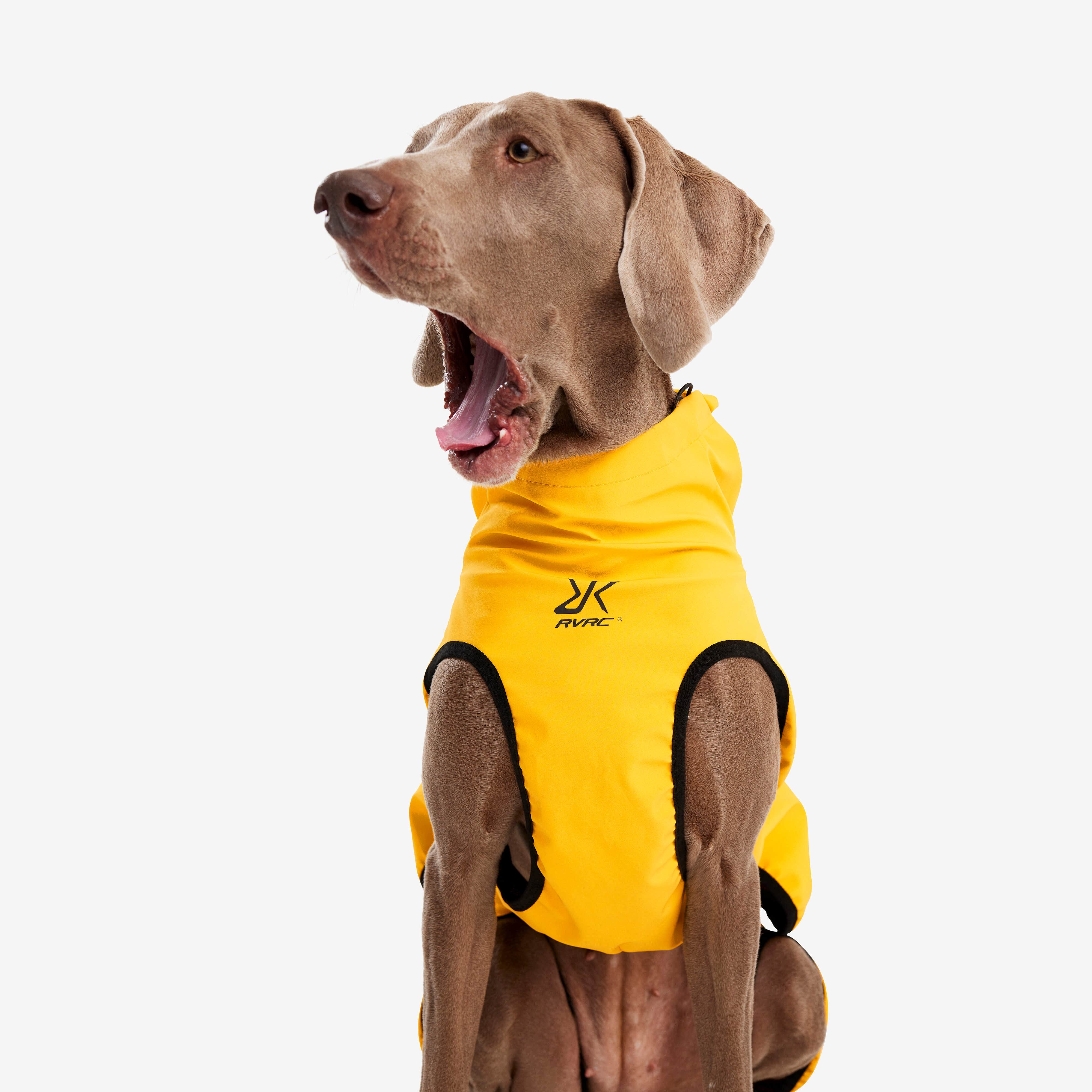 Cyclone Dog Jacket Chien Yellow