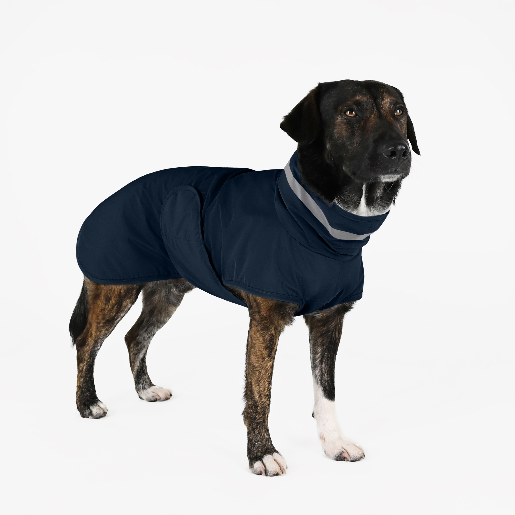 THE DOG IDEA Hundemäntel THE DOG IDEA Regenmantel Kayden Navy XXS