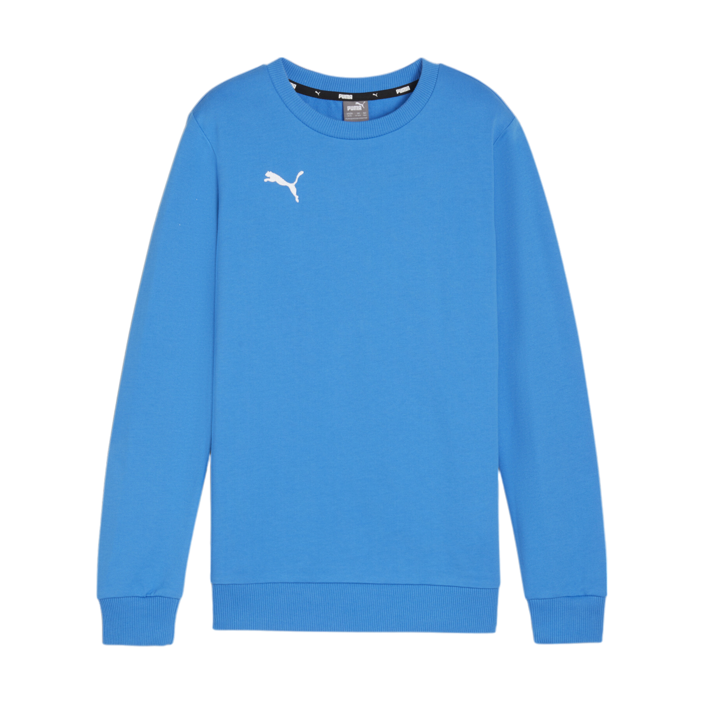 PUMA teamGOAL Casuals Sweatshirt Kids Blau F02