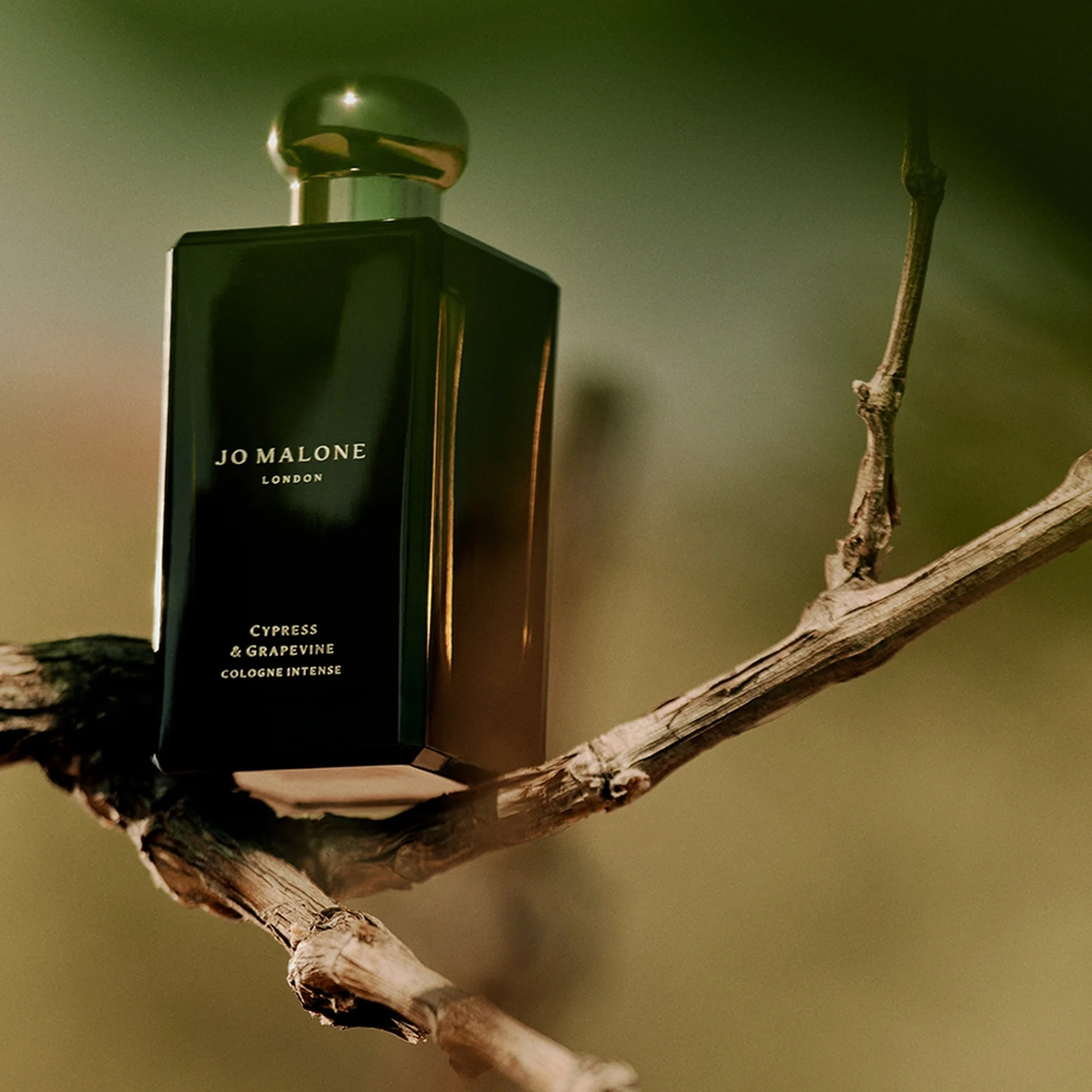 Colonie Intense Cypress & Grapevine - Cologne Unisex, Keln, Eau de Parfum, Eau de Parfum Unisex