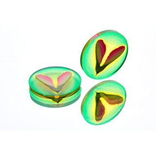 Photosynthesis Token Set