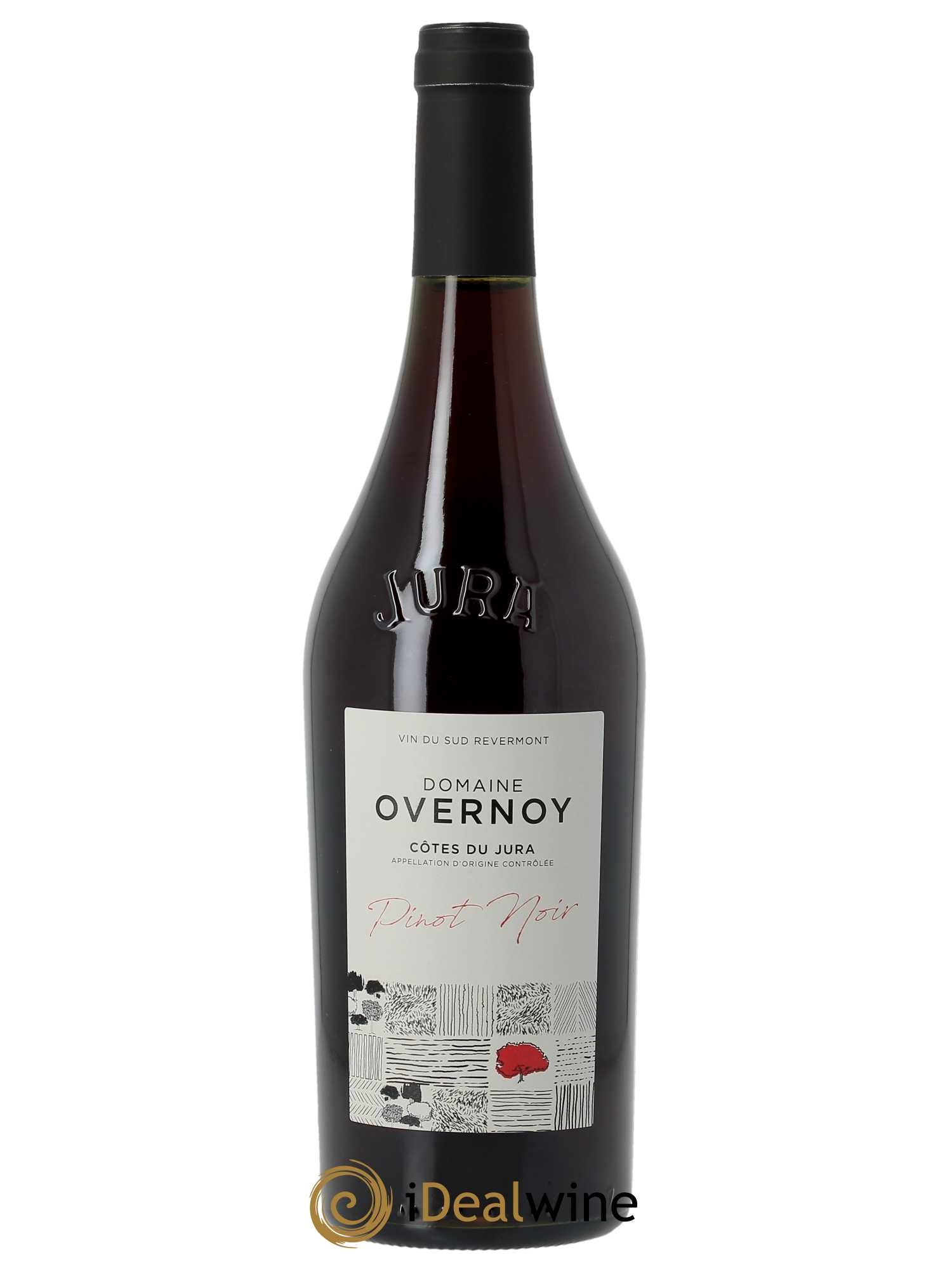 Côtes du Jura Pinot Noir Guillaume Overnoy  2021 - Lot de 1 Bouteille
