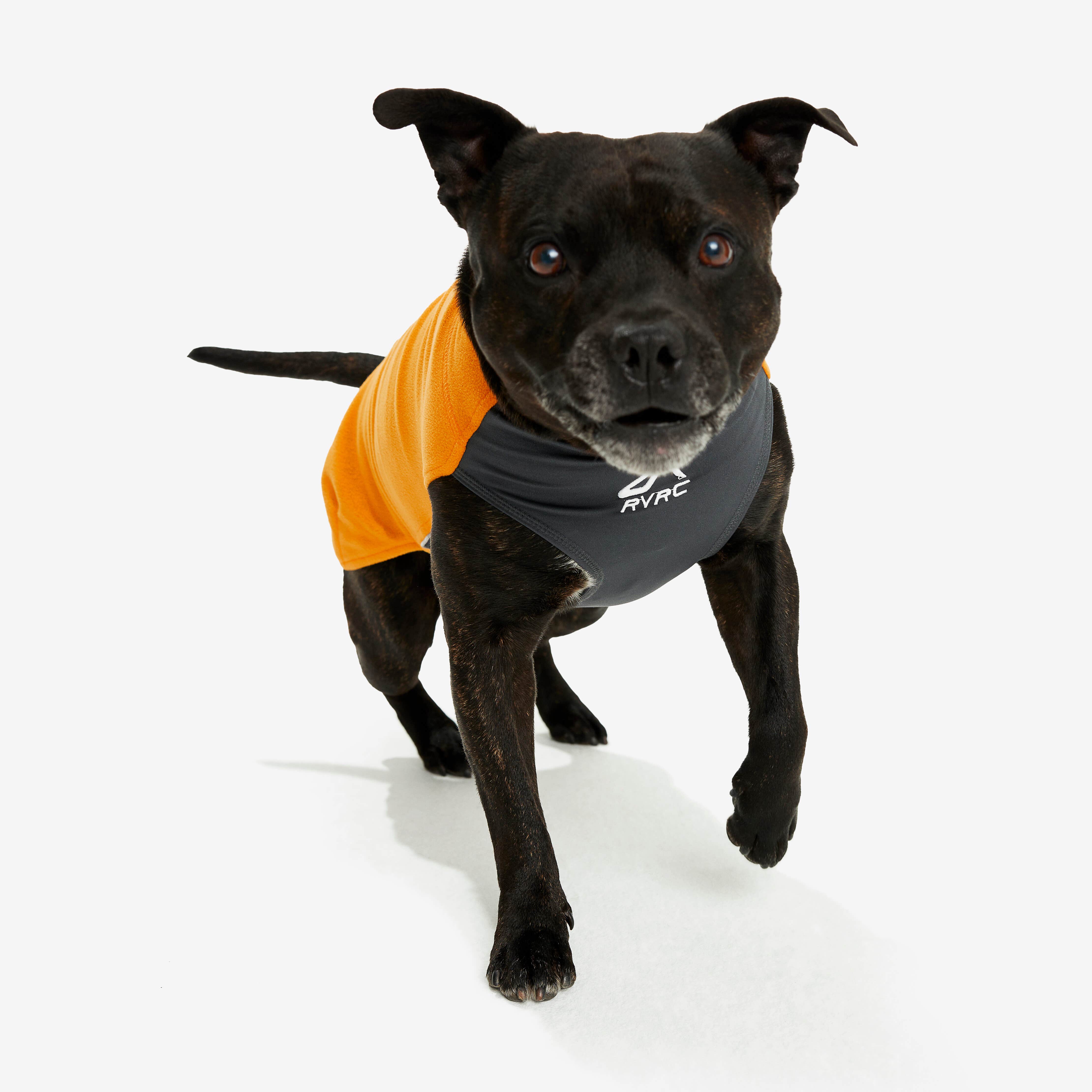 Trekker Fleece Chien Radiant Yellow