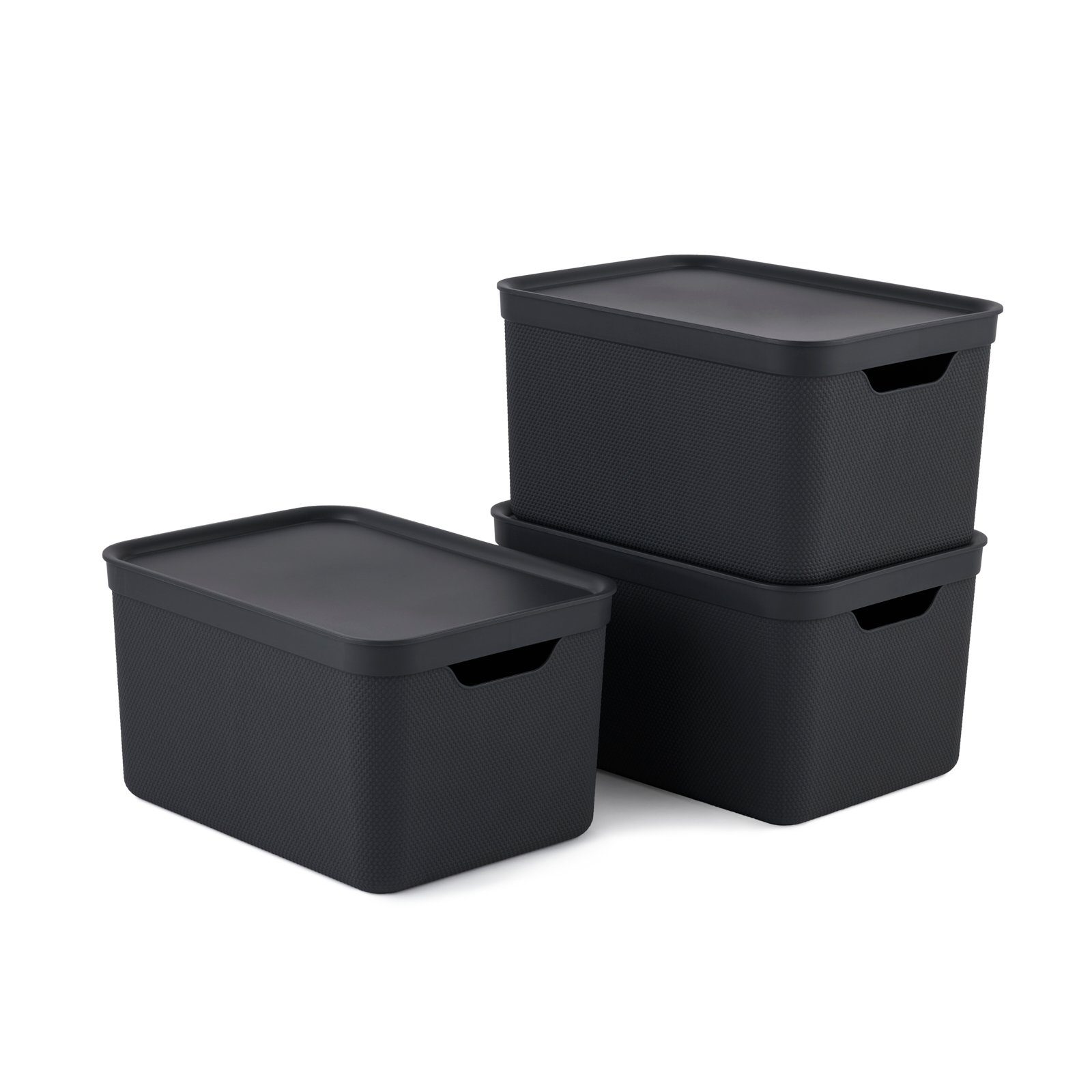 ROTHO Aufbewahrungsbox Jive Dekobox 3er- Set Aufbewahrungskorb 16l mit Deckel (Aufbewahrungsboxen, 3er-Set)