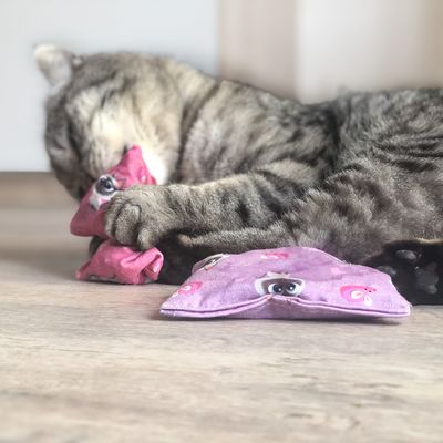 Aumüller Baldini Katzenspielkissen PETS Edition