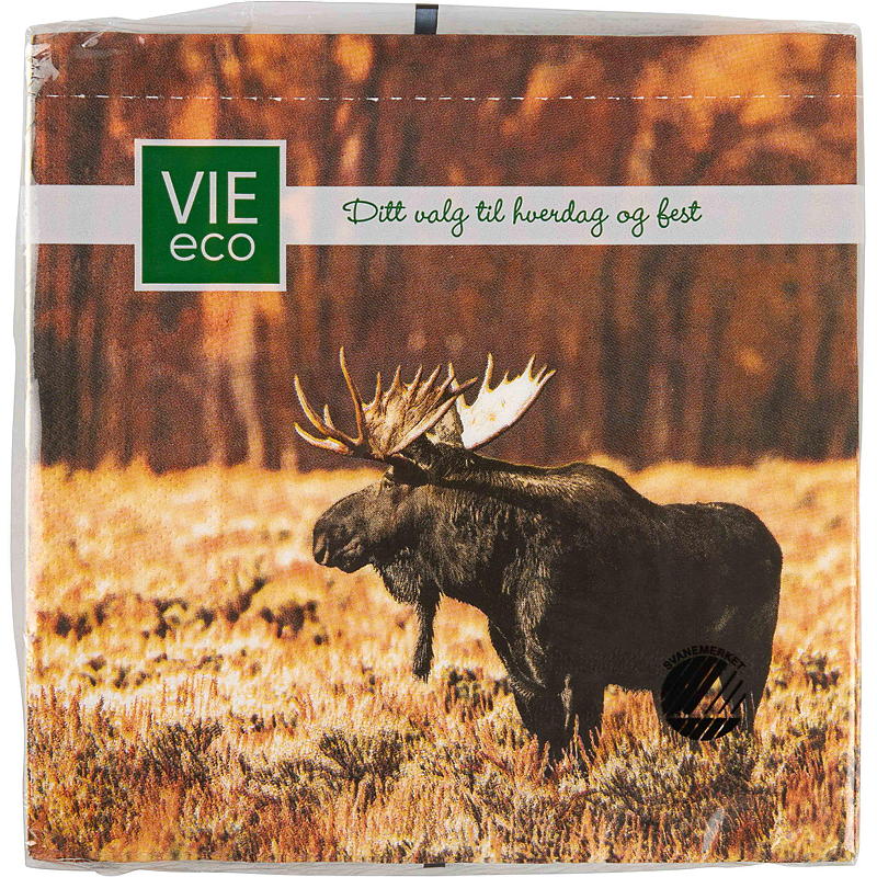 Vie Eco Servietter 20-pk 33x33 cm, Høst