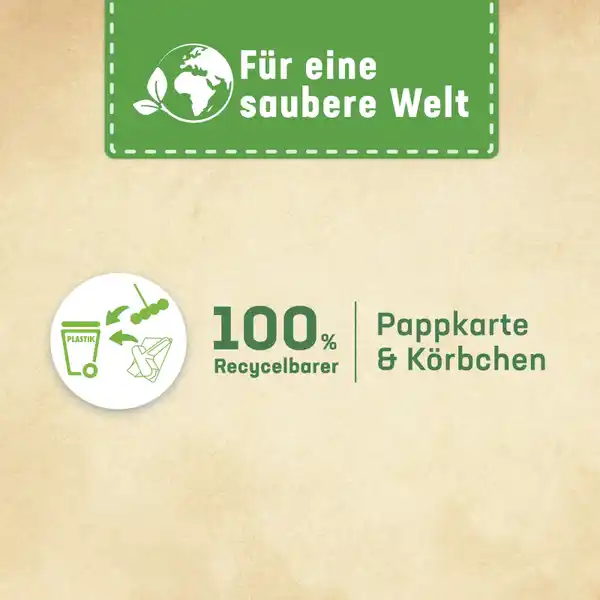 Kraft-Aktiv Pro Nature Duftspüler Minze & Eukalyptus