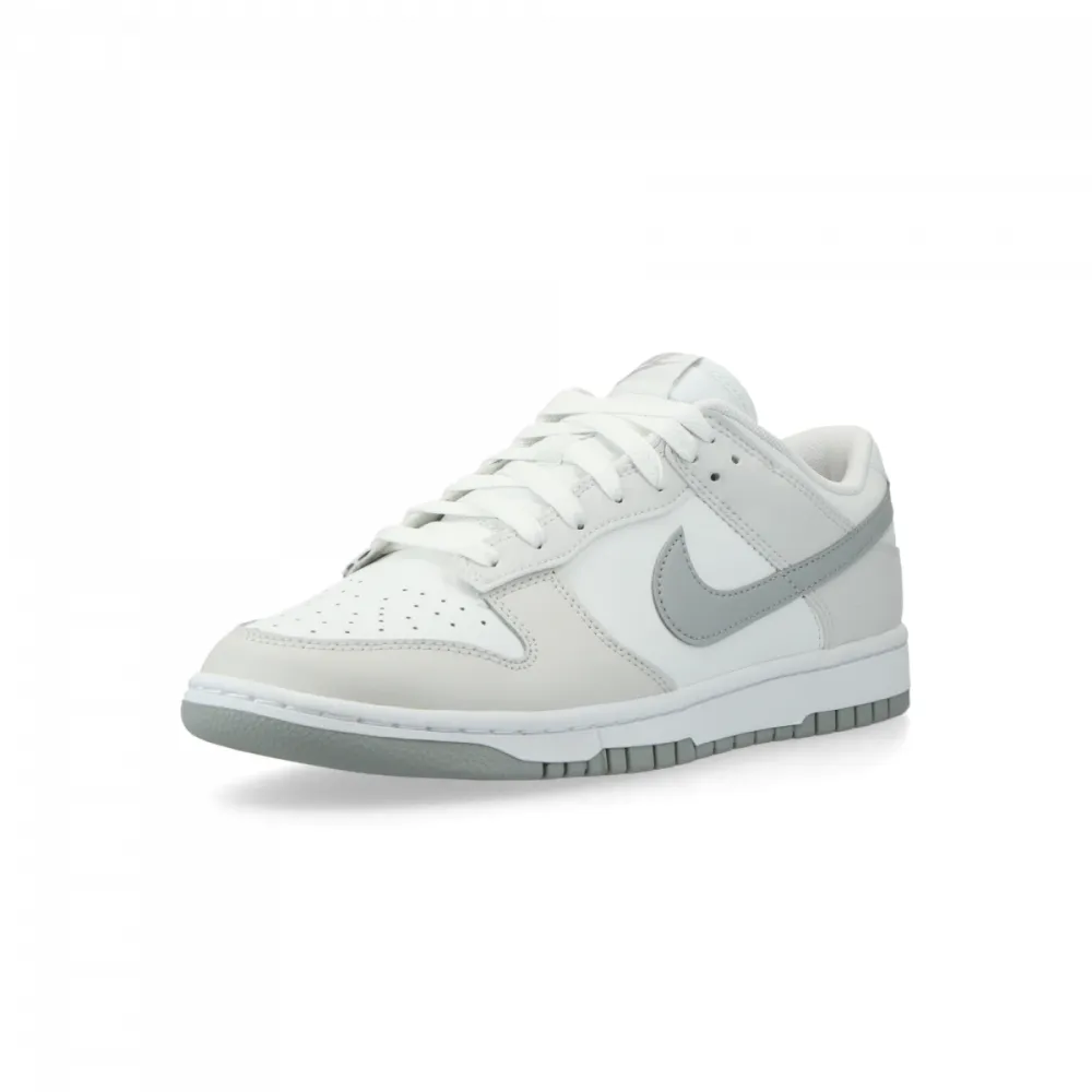 Nike Dunk Low Retro DV0831 106 / weiss