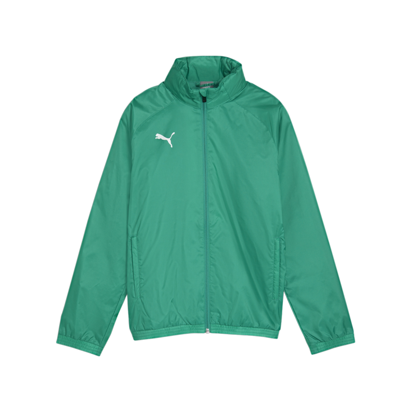 PUMA teamGOAL Allwetterjacke Kids Grün Weiss F05