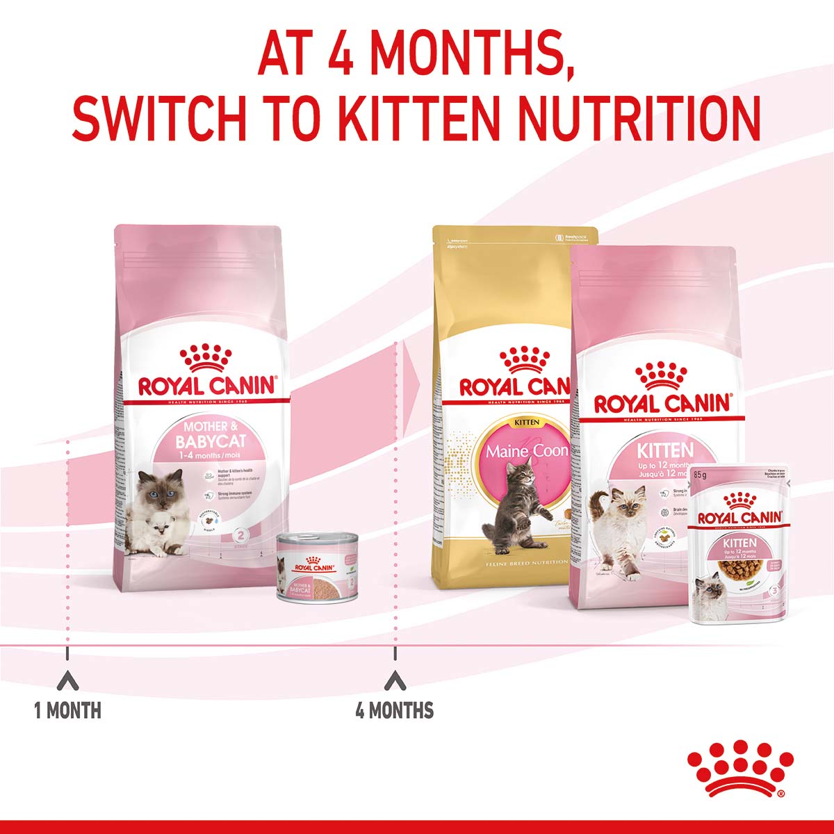 ROYAL CANIN MOTHER & BABYCAT Katzenfutter für tragende Katzen und Kitten