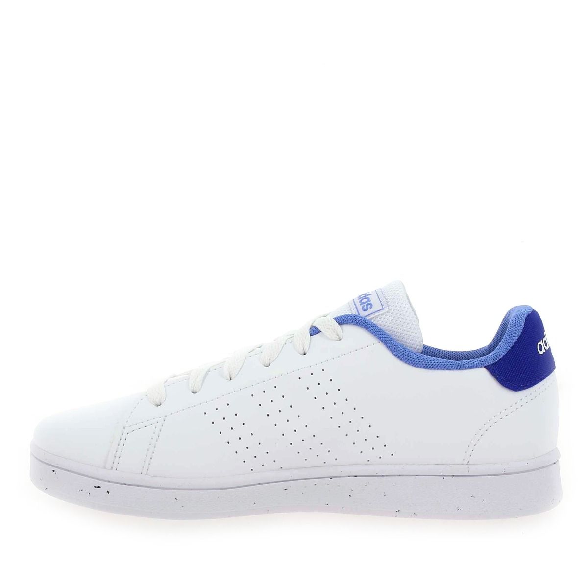 Adidas Originals  ADVANTAGE - Blanc Bleu