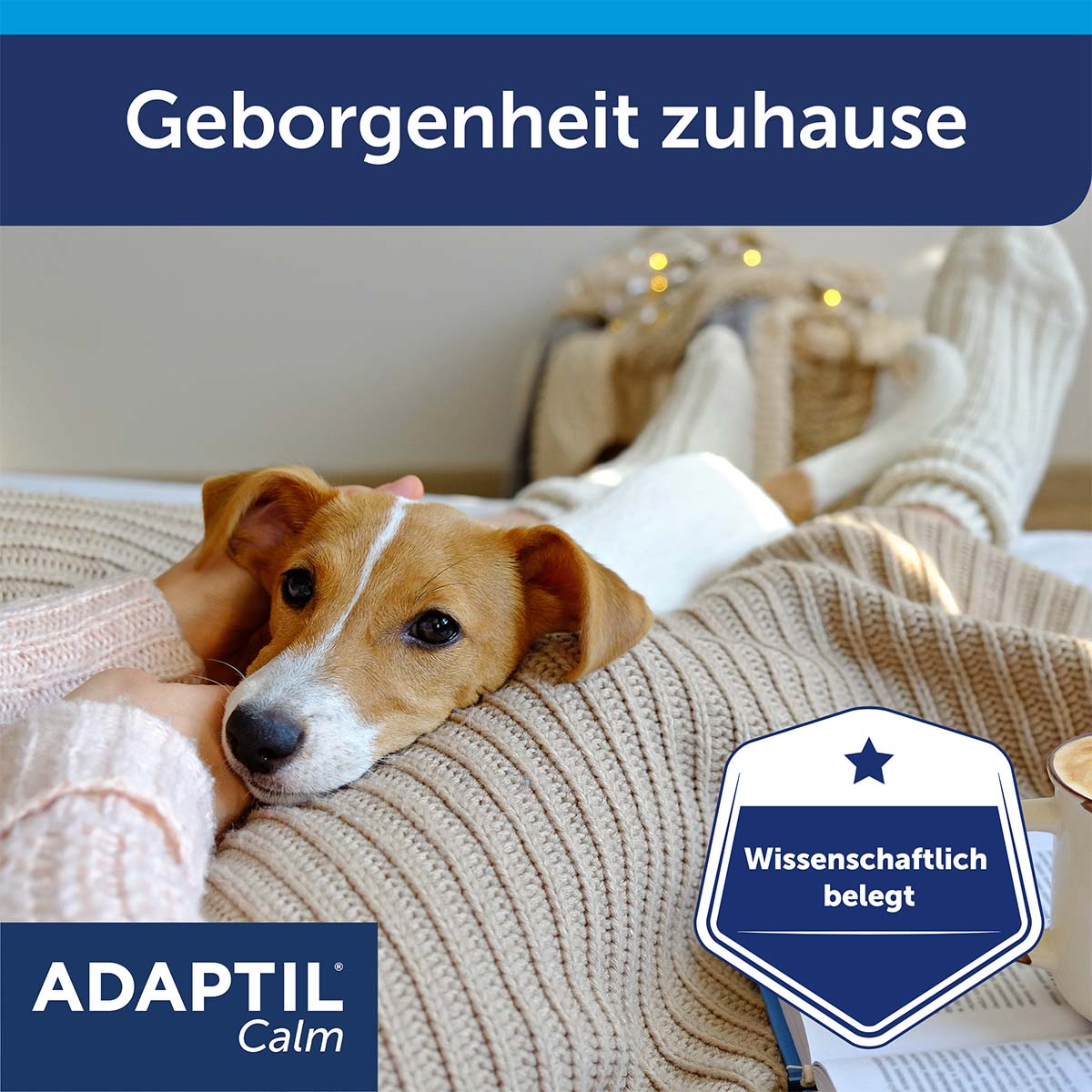 Adaptil Verdampfer 1 Monats-Nachfüllflakon 48ml bei ZooRoyal