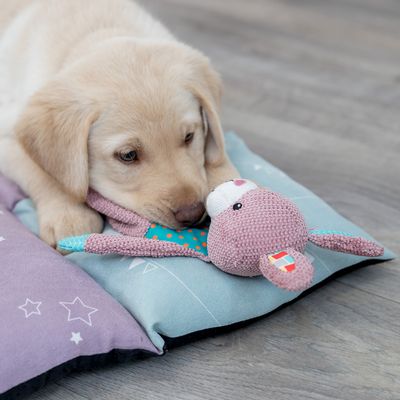 Trixie Junior Hase