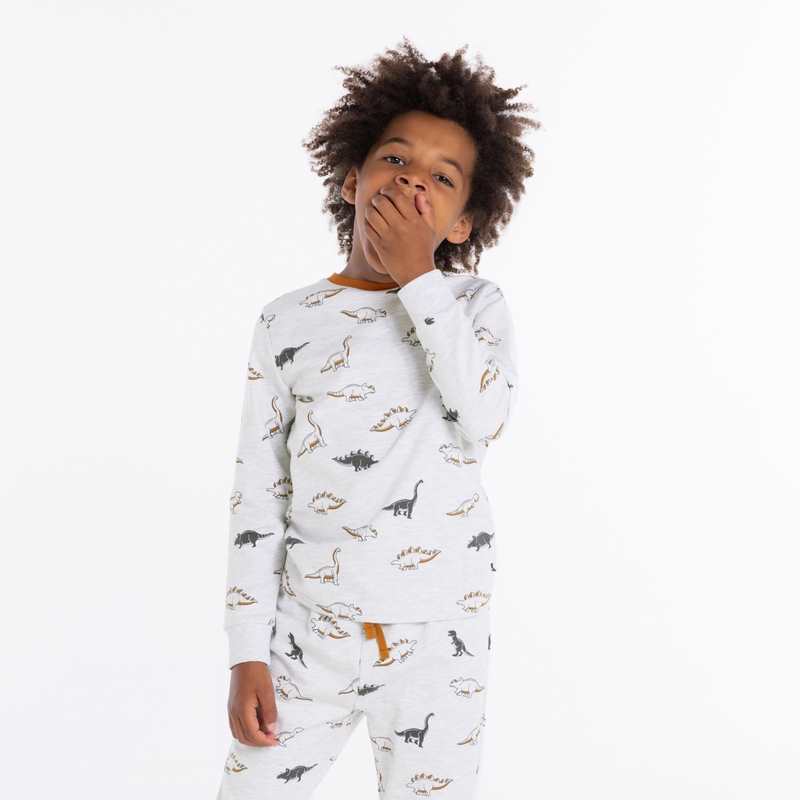 Pyjama 2 pièces en jersey motifs dinosaures gris garçon