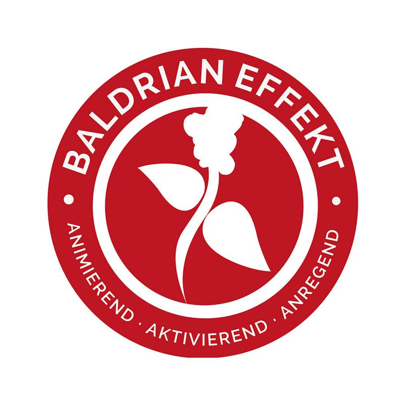 Aumüller Baldrian-Katzenspielkissen Koala Jack