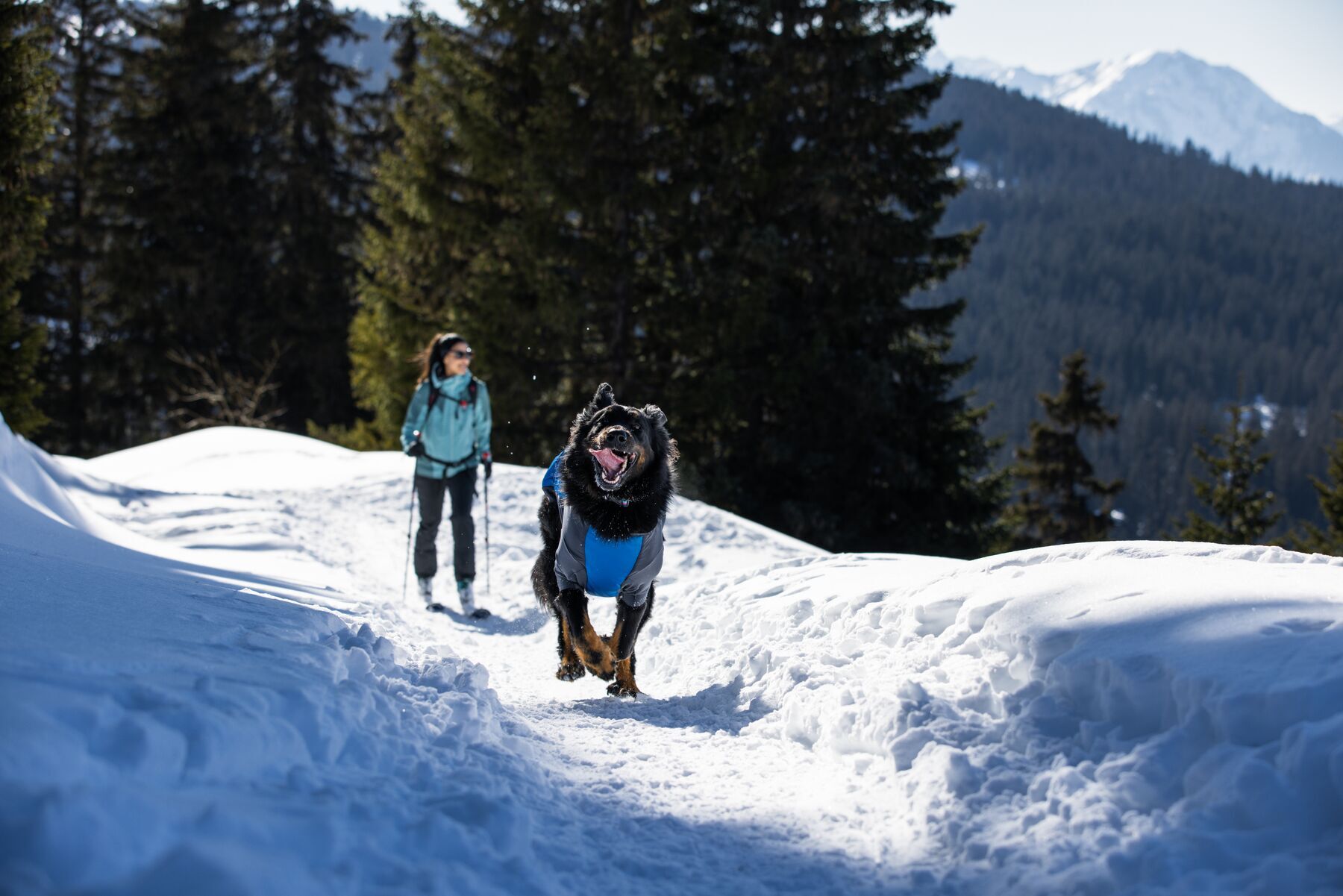 Ruffwear Hundemäntel Ruffwear Powder Hound™ Hundejacke blau M