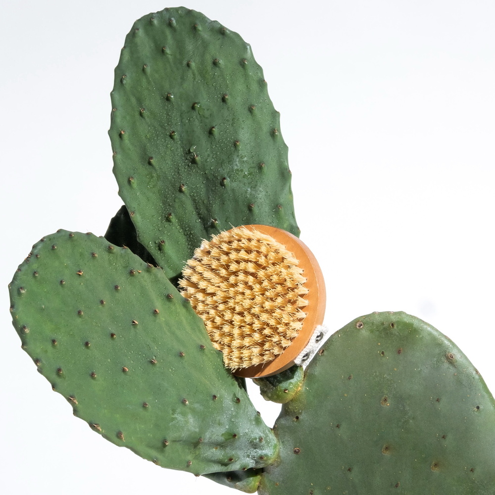 legology Lymph-Lite Boom Brush for Body Brosse pour le corps