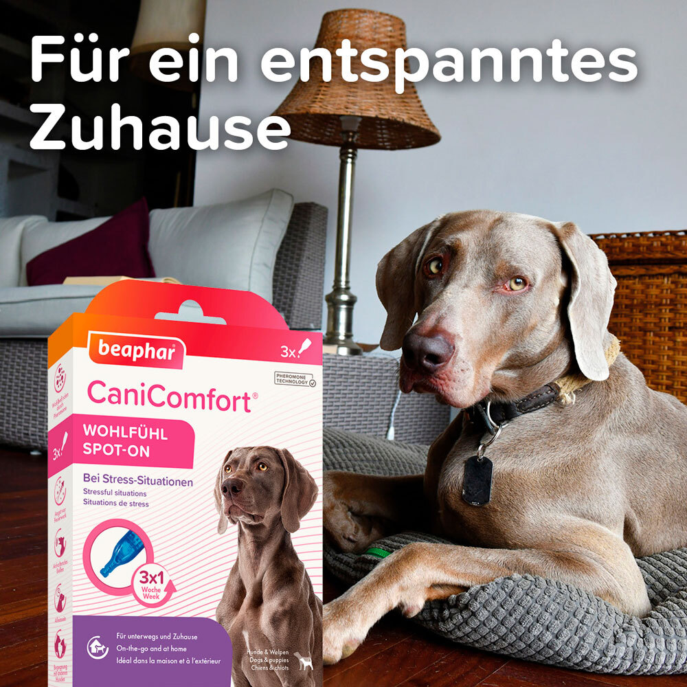 Beaphar Beruhigungsmittel Beaphar CaniComfort Wohlfühl Spot-On 3x1 ml