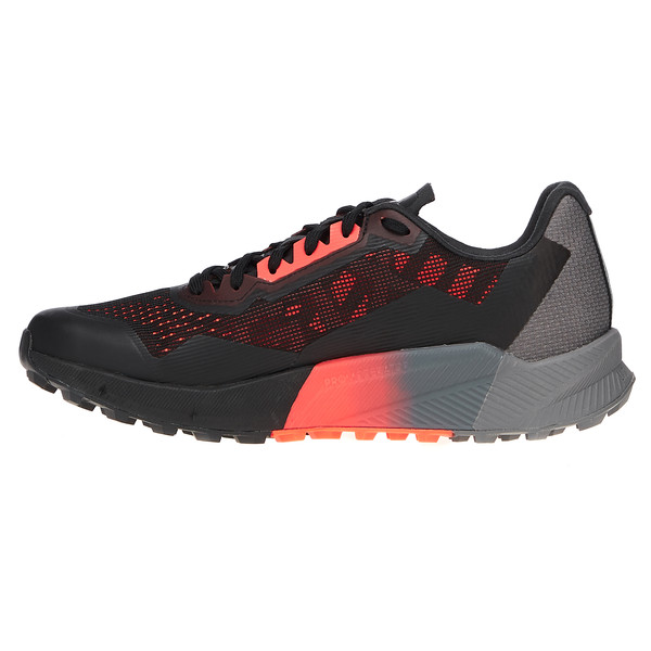 TERREX AGRAVIC FLOW 2 GTX Herren - Trailrunningschuhe