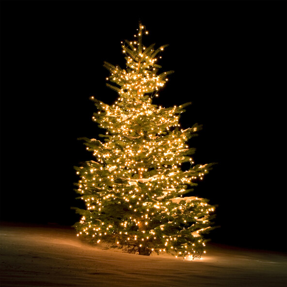 Smart-Home Tannenbaum-Lichterkette, 300 LEDs, warmweiß