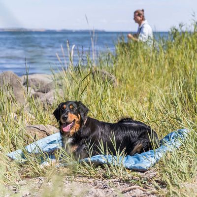 Trixie Samoa Classic Reisedecke