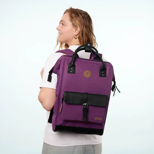 Adventurer Large Backpack Singapore Purple
