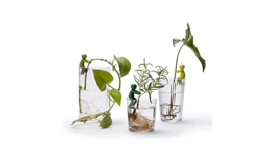 Peleg Anzuchthelfer Leafriend 3er Set